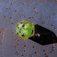 Soot Sprite D20