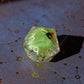 Soot Sprite D20