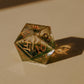 Butterfly Catcher Gold D20
