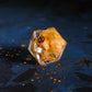 Soot Sprite Party D20