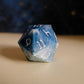 Squall Mega D20