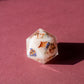 Faded Memories D20